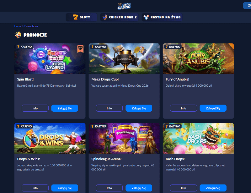 Bison_Casino_Zrzuty ekranu_Bonusy